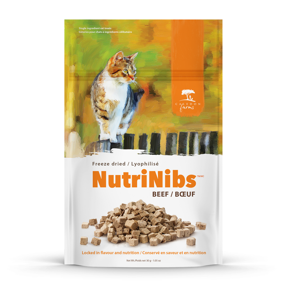 NutriNibs Freeze Dried Beef Cat Treats