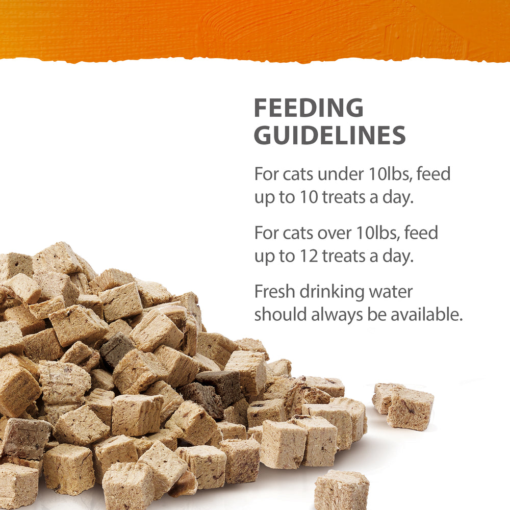 
                        
                          NutriNibs Freeze Dried Beef Cat Treats
                        
                      