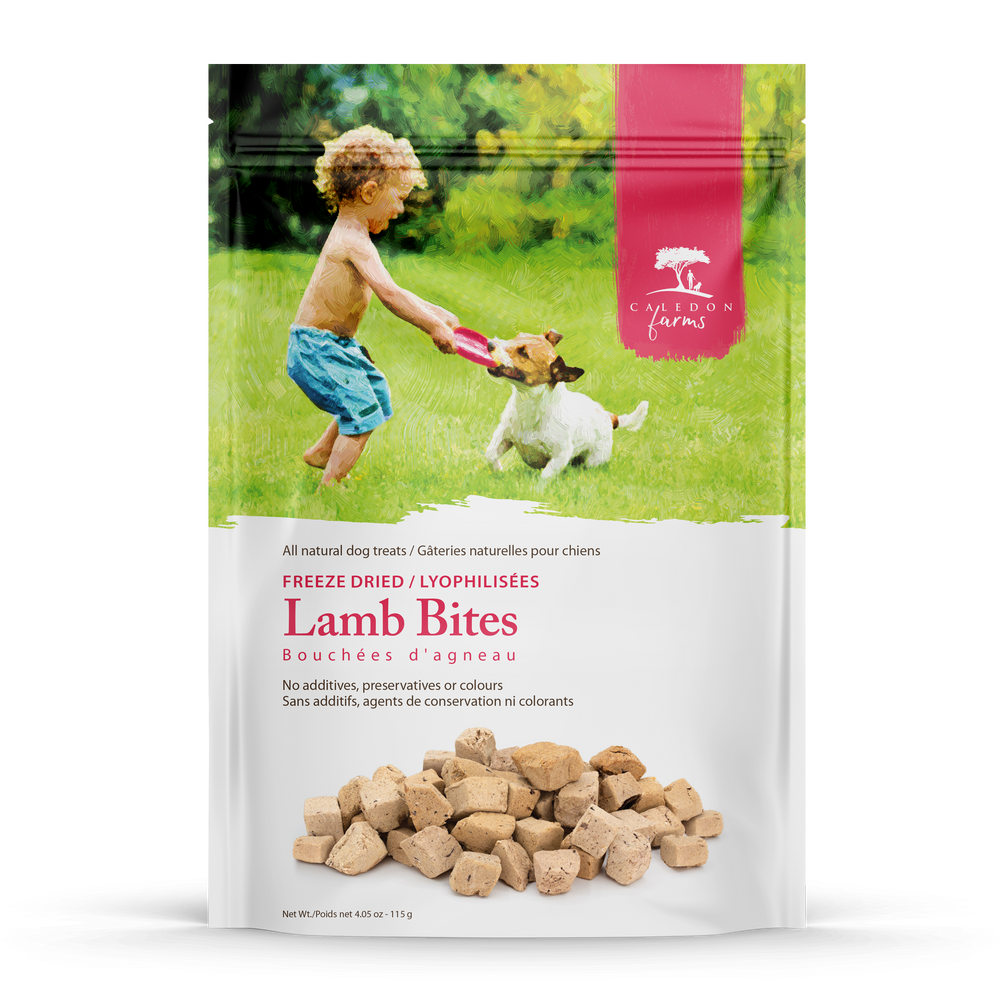 
                        
                          Freeze Dried Lamb Bites
                        
                      