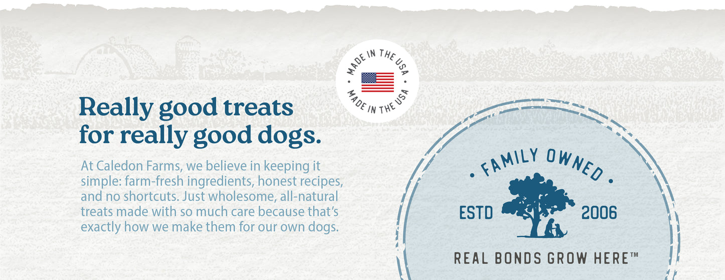 Enhanced A+ Desktop #5 — CF_BeefBites+DailyEssentials_USA_2026_A+_PDP_Desktop-05.jpg