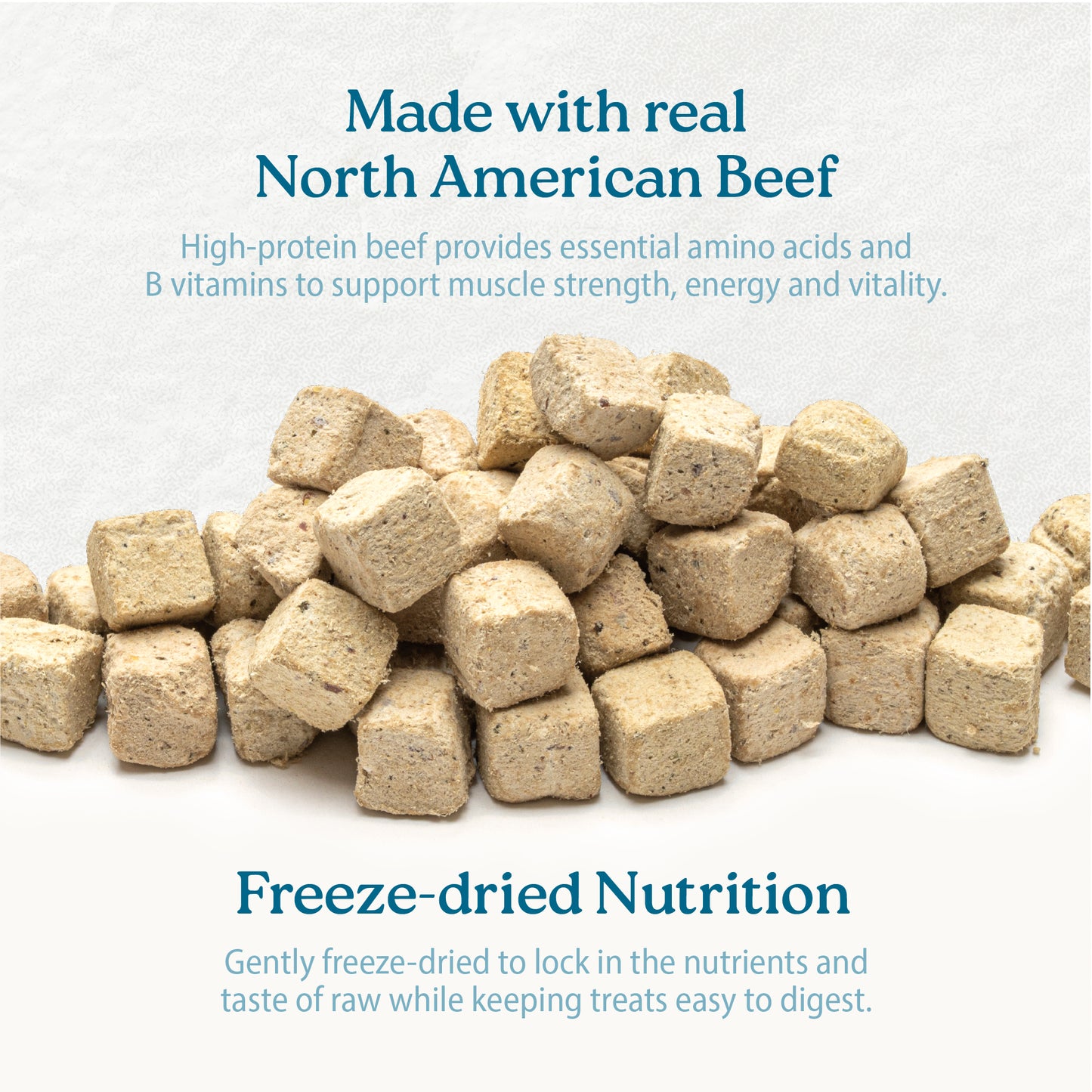 
                        
                          Beef Bites + Daily Essentials 9oz
                        
                      