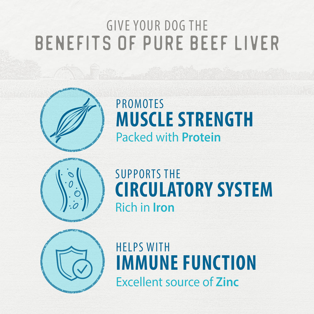 
                        
                          Freeze Dried Beef Liver Bites Value Pack
                        
                      