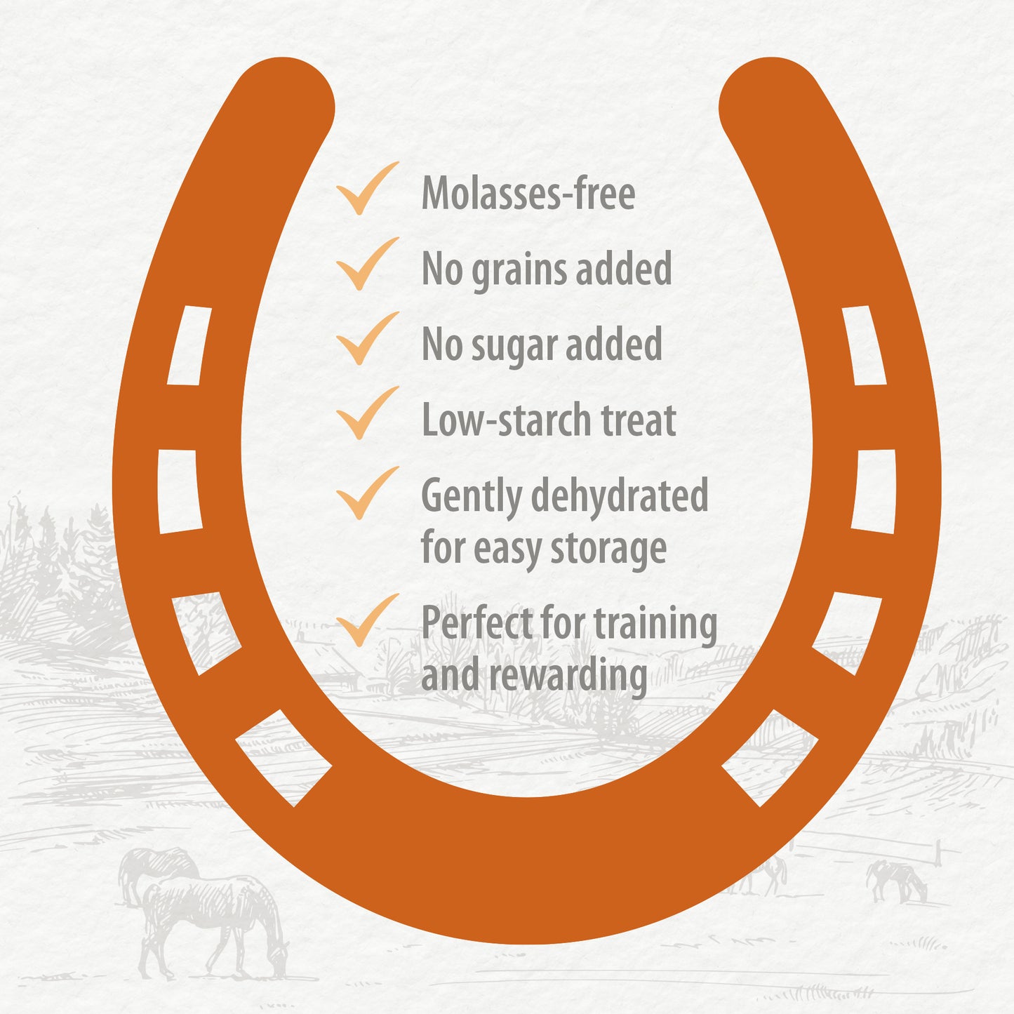 
                        
                          Carrot Slices Horse Treats
                        
                      