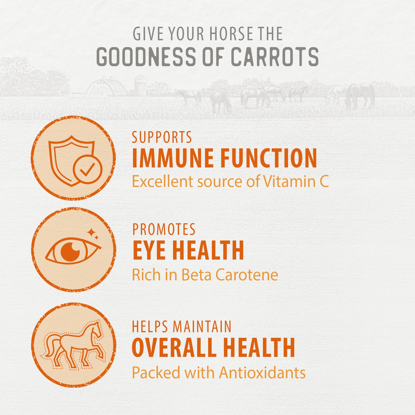 
                        
                          Carrot Slices Horse Treats
                        
                      