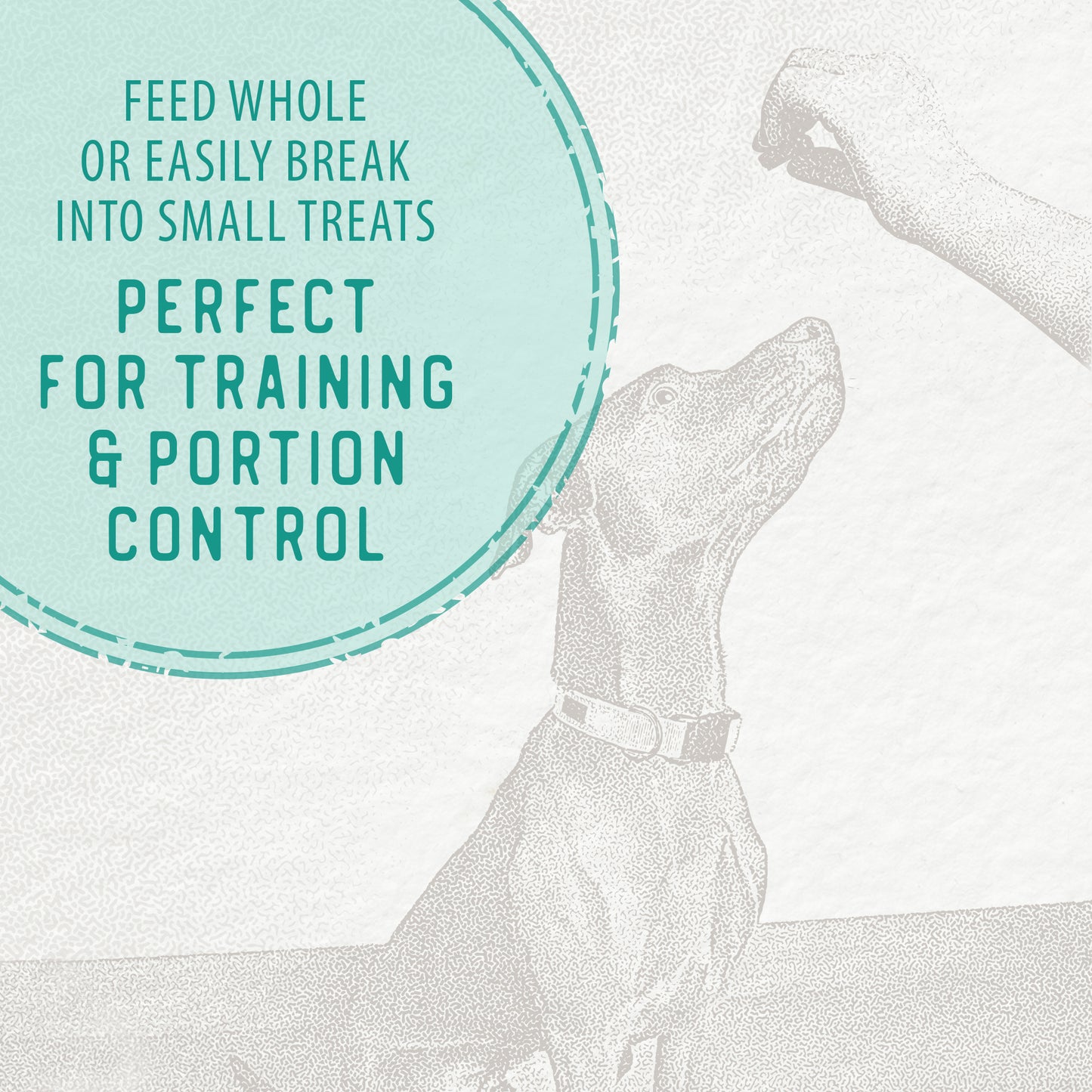 
                        
                          Chewy Beef Sticks Value Pack
                        
                      