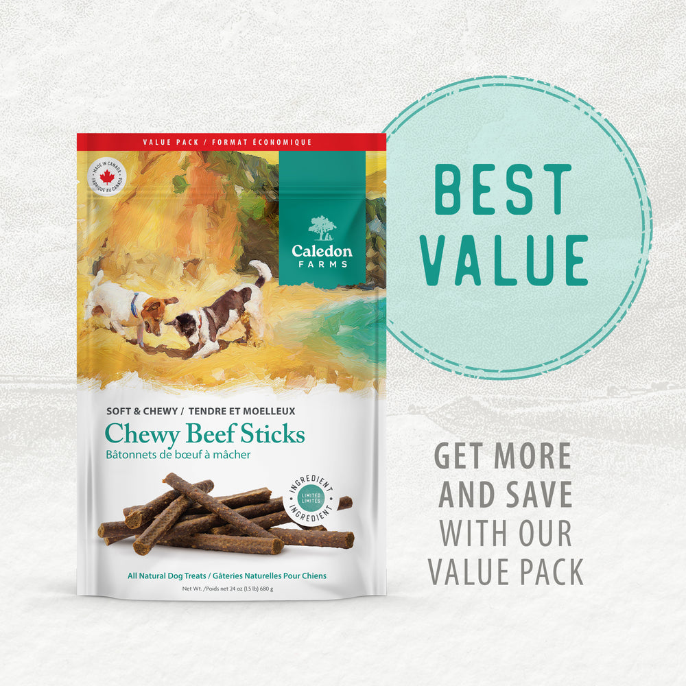 
                        
                          Chewy Beef Sticks Value Pack
                        
                      