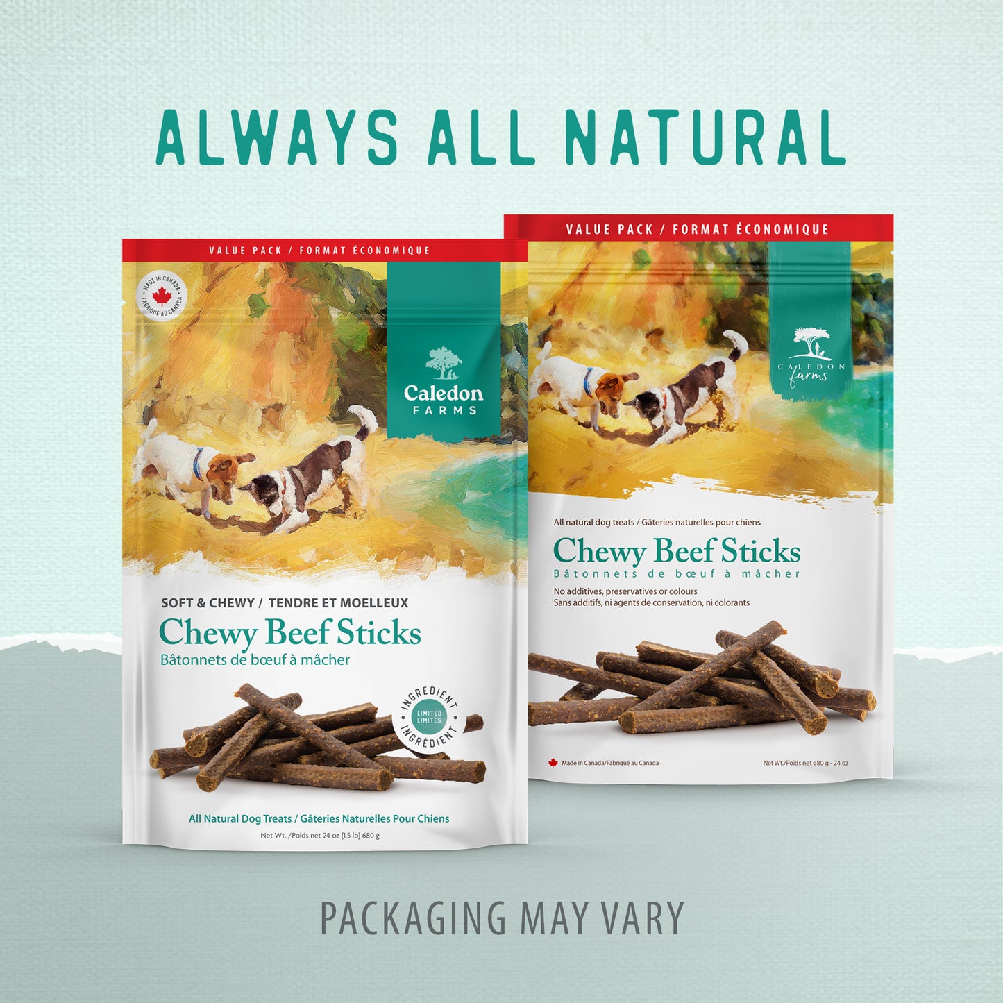 
                        
                          Chewy Beef Sticks Value Pack
                        
                      