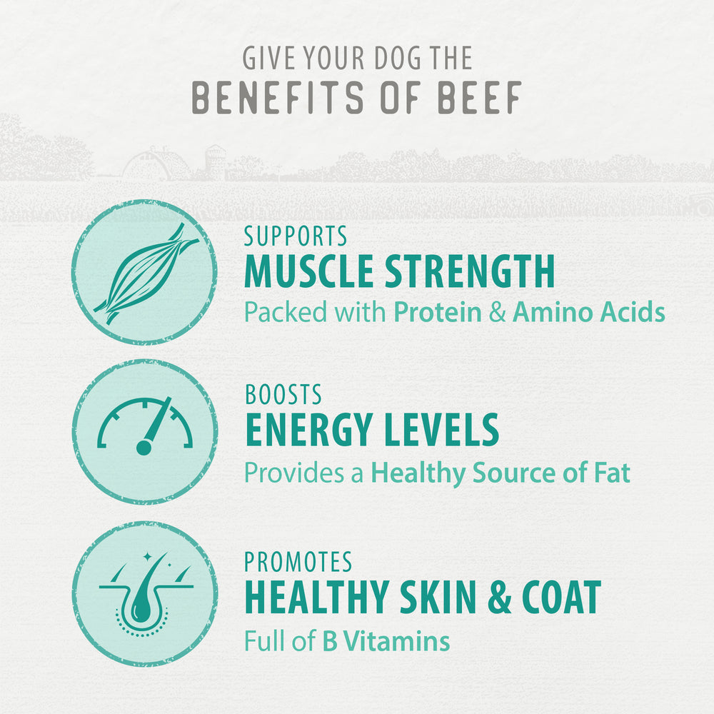 
                        
                          Chewy Beef Sticks Value Pack
                        
                      