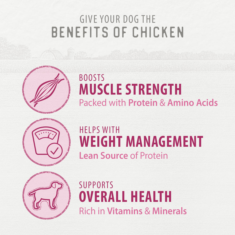 
                        
                          Chewy Chicken Sticks™
                        
                      