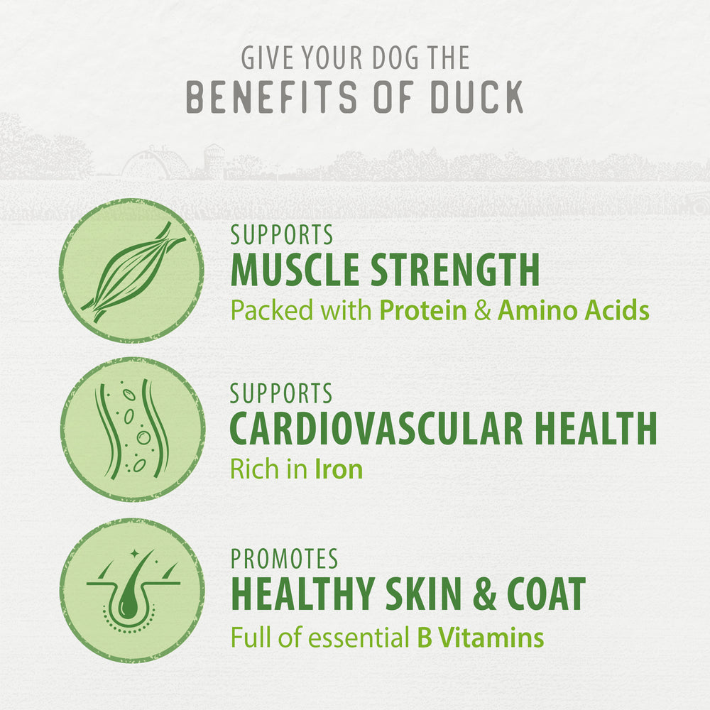 
                        
                          Chewy Duck Sticks
                        
                      