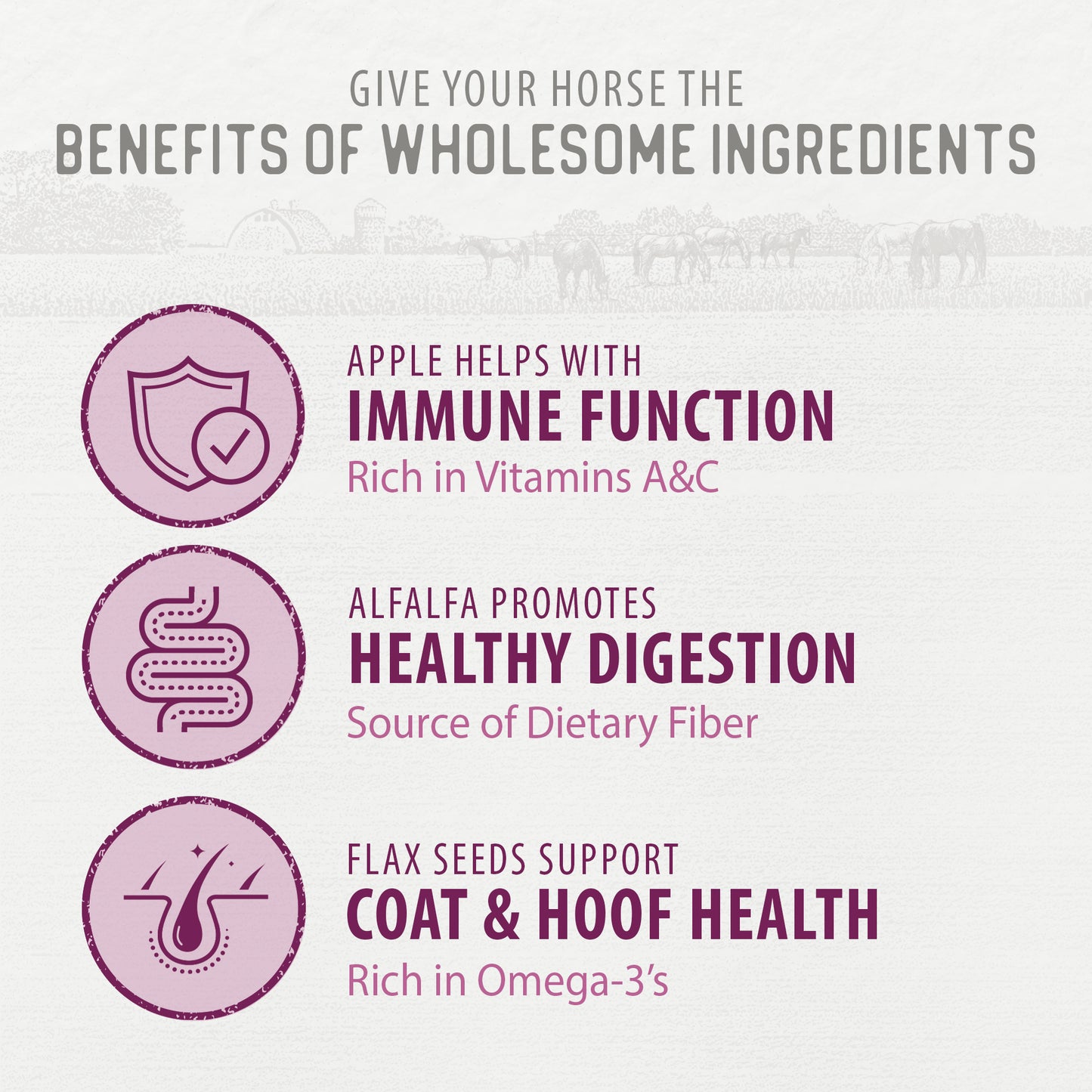 
                        
                          Crumbles - Apple & Alfalfa Recipe Horse Meal Topper
                        
                      