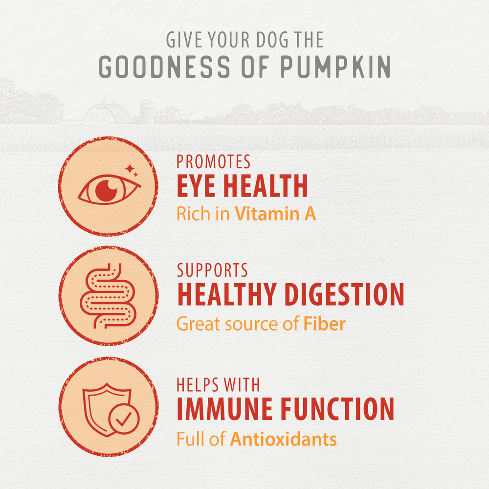 
                        
                          Baked Bites - Pumpkin
                        
                      