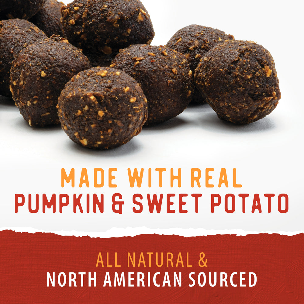 
                        
                          Baked Bites - Pumpkin
                        
                      