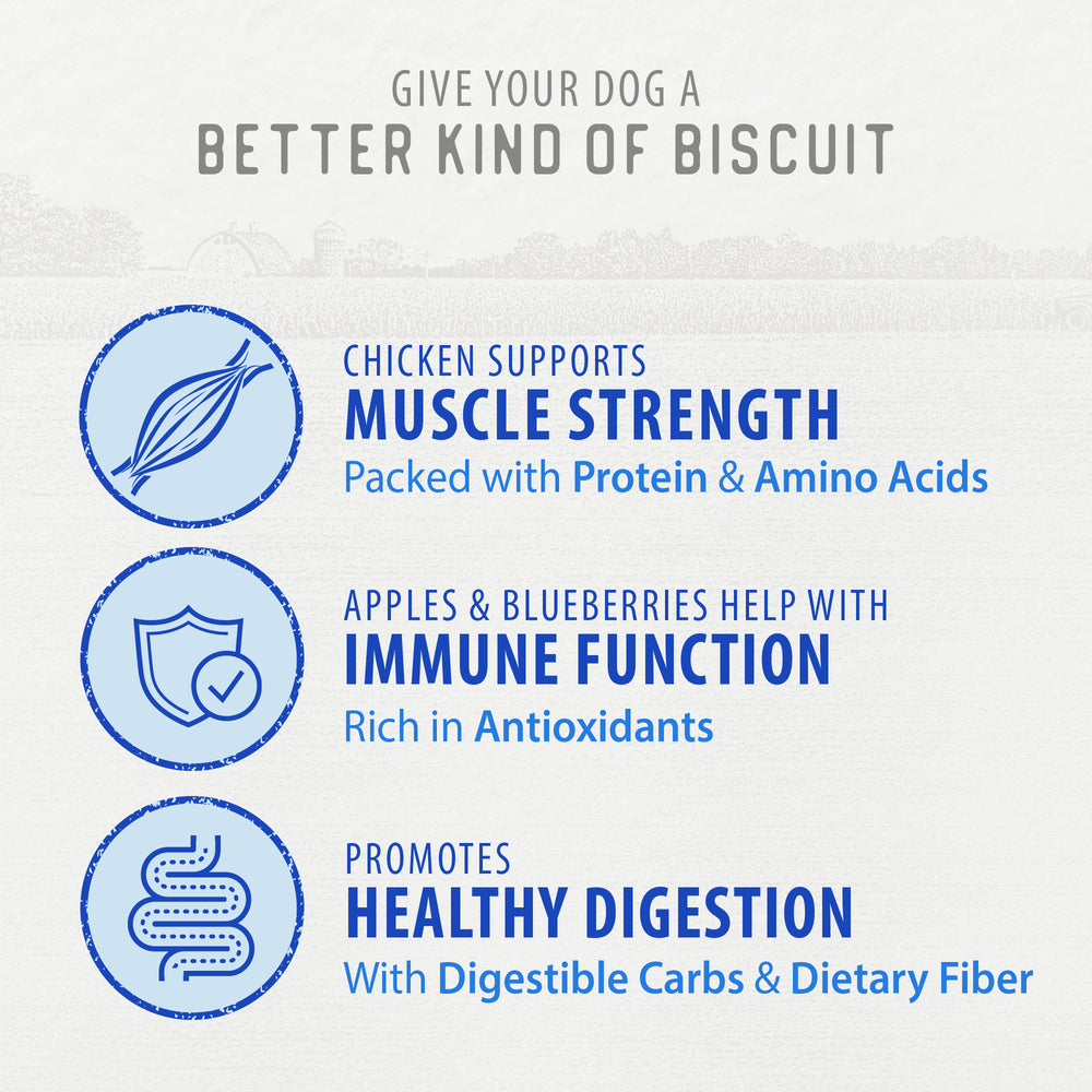 
                        
                          Crunchy Biscuits - Chicken with Apple & Blueberry
                        
                      