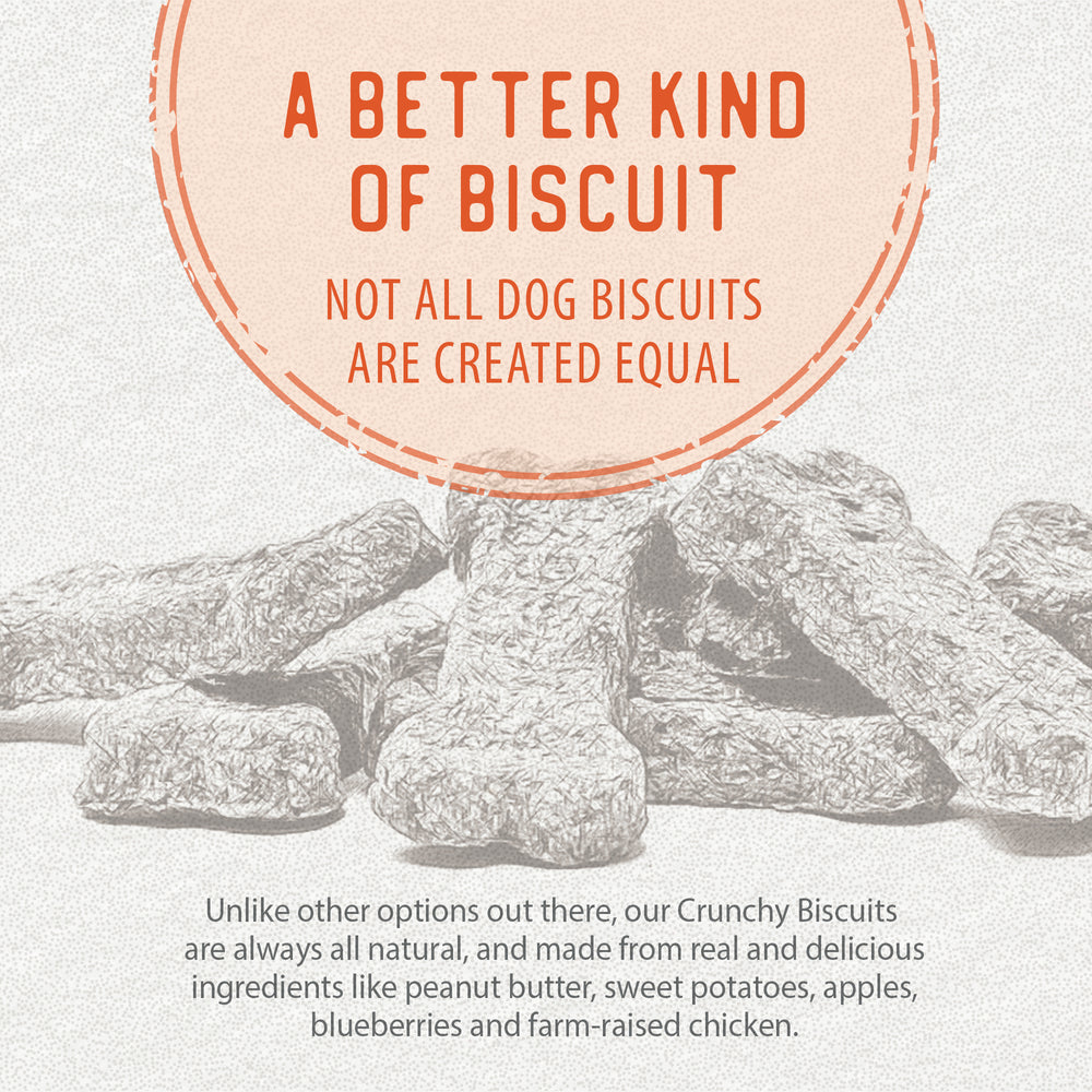 
                        
                          Crunchy Biscuits - Sweet Potato with Peanut Butter
                        
                      