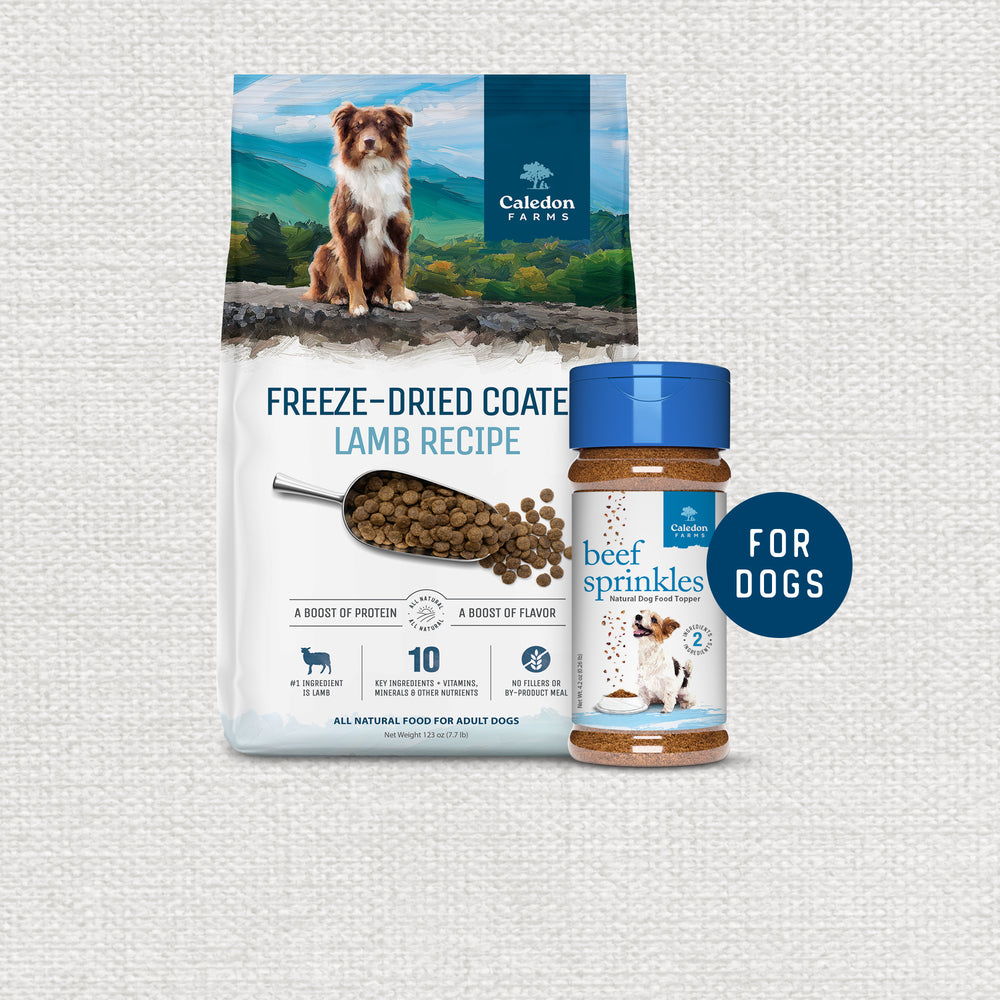 Dog Food & Toppers