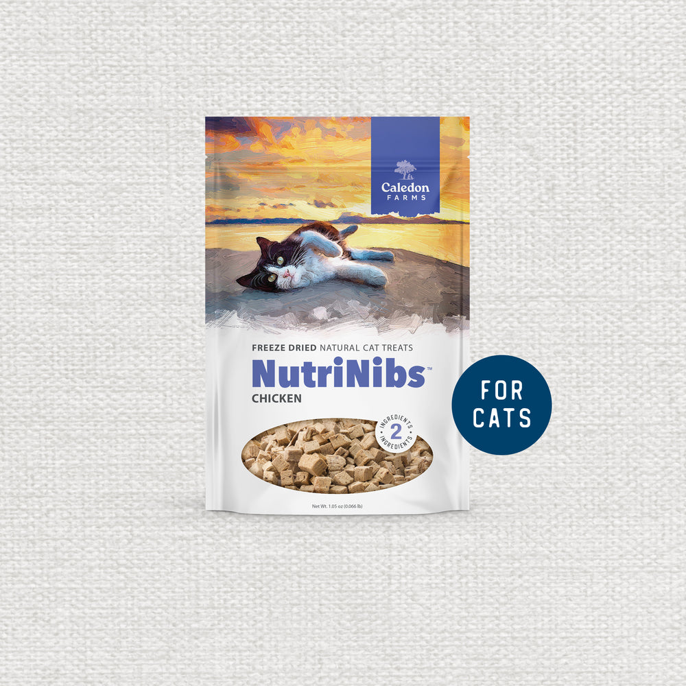Cat Treats