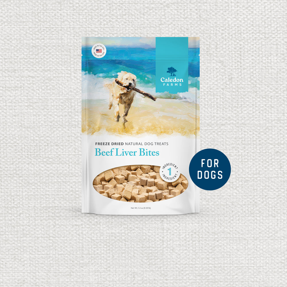 Freeze Dried