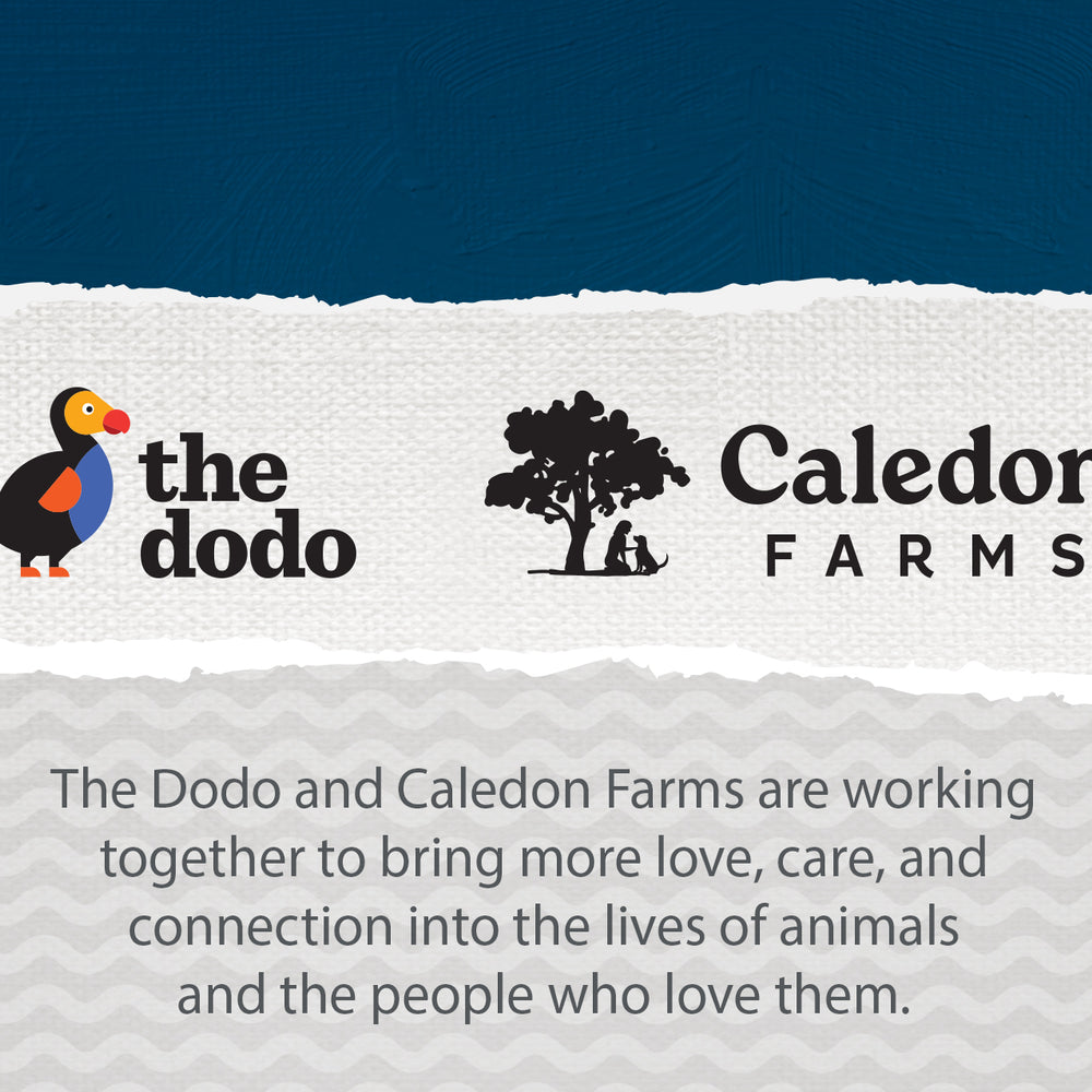 Caledon Farms