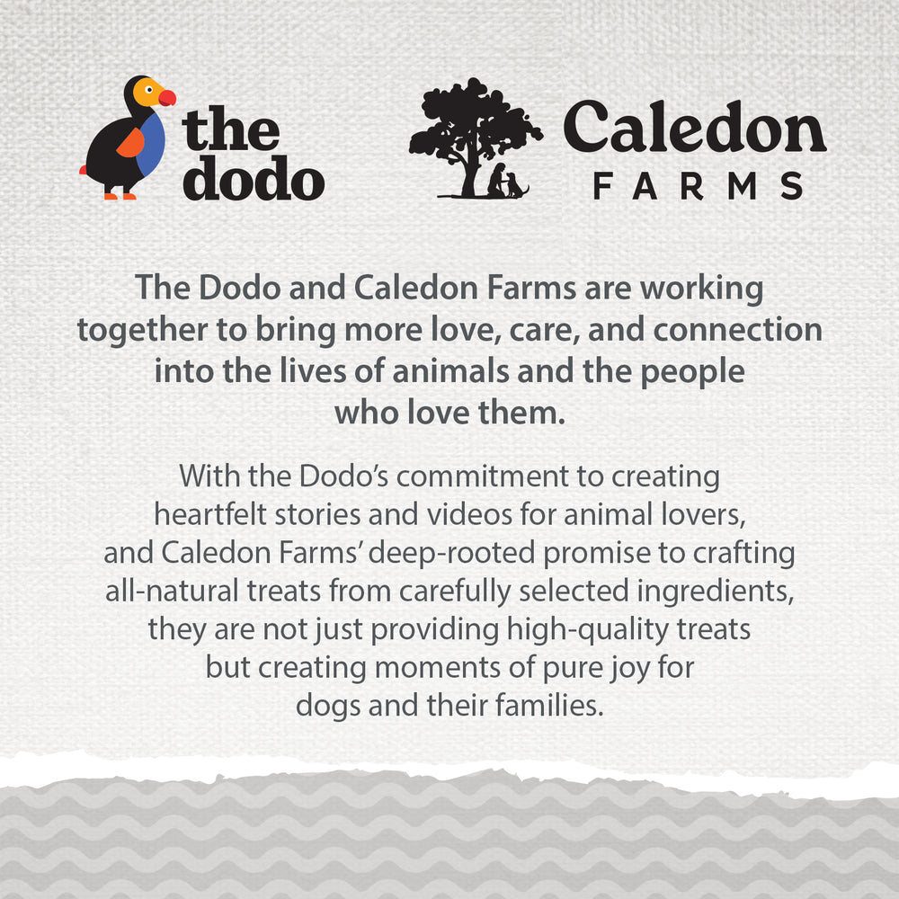 Caledon Farms