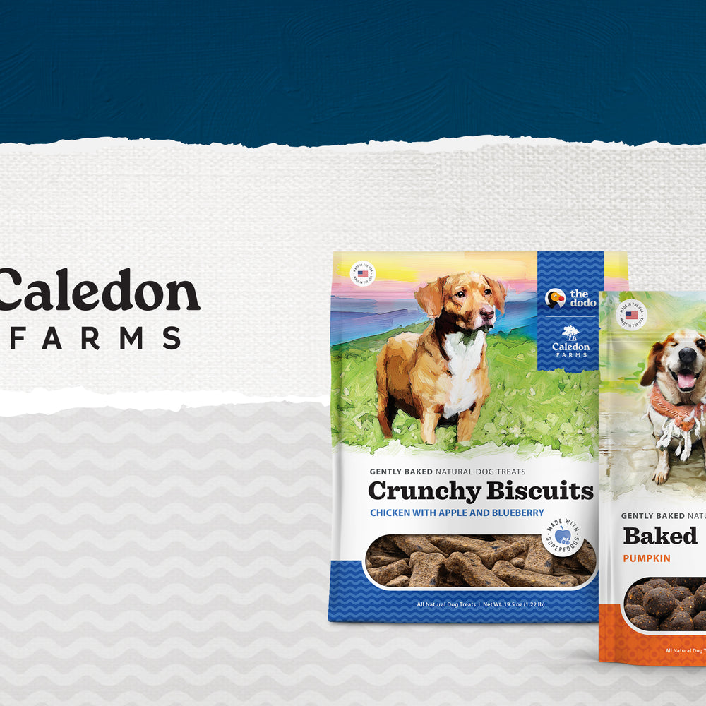 Caledon Farms