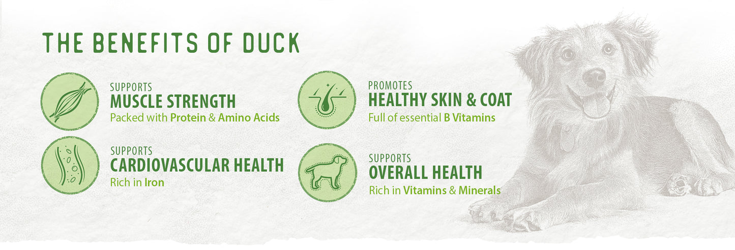 Chewy Duck Sticks