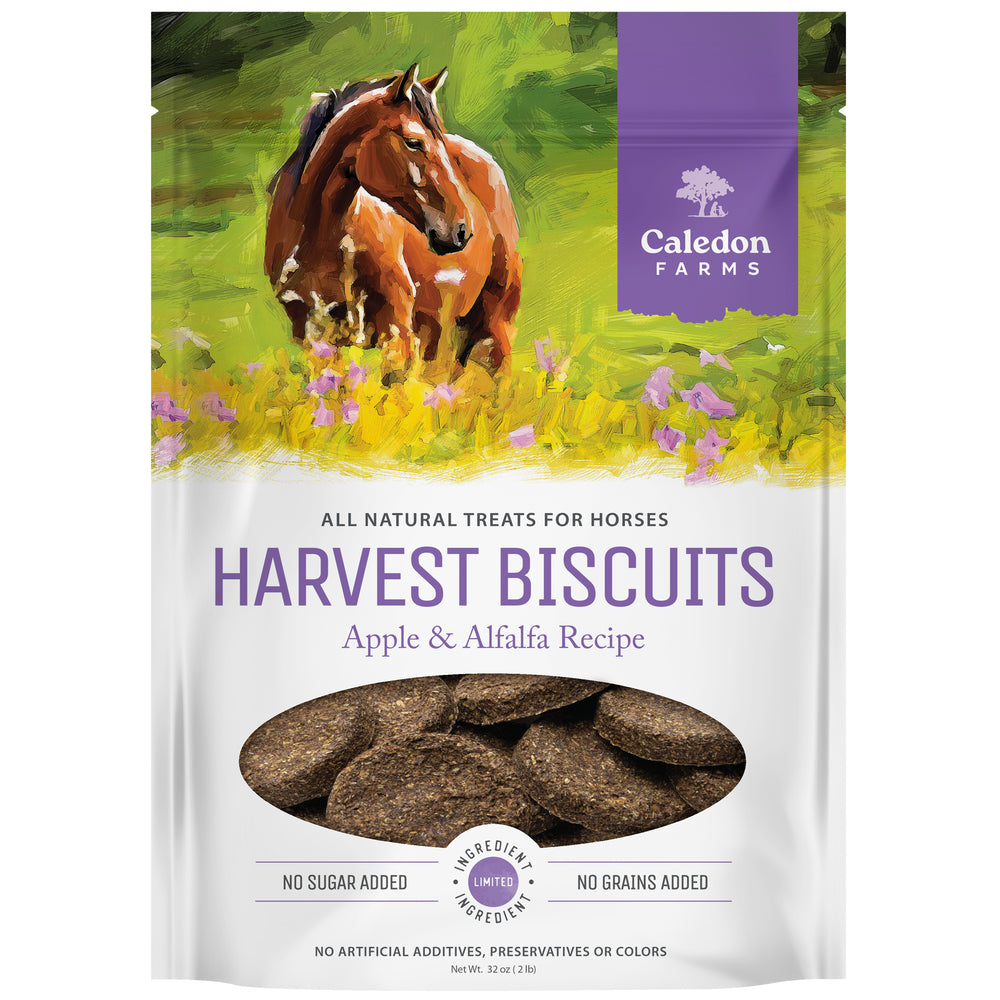 Harvest Biscuits - Apple & Alfalfa Recipe Horse Treats