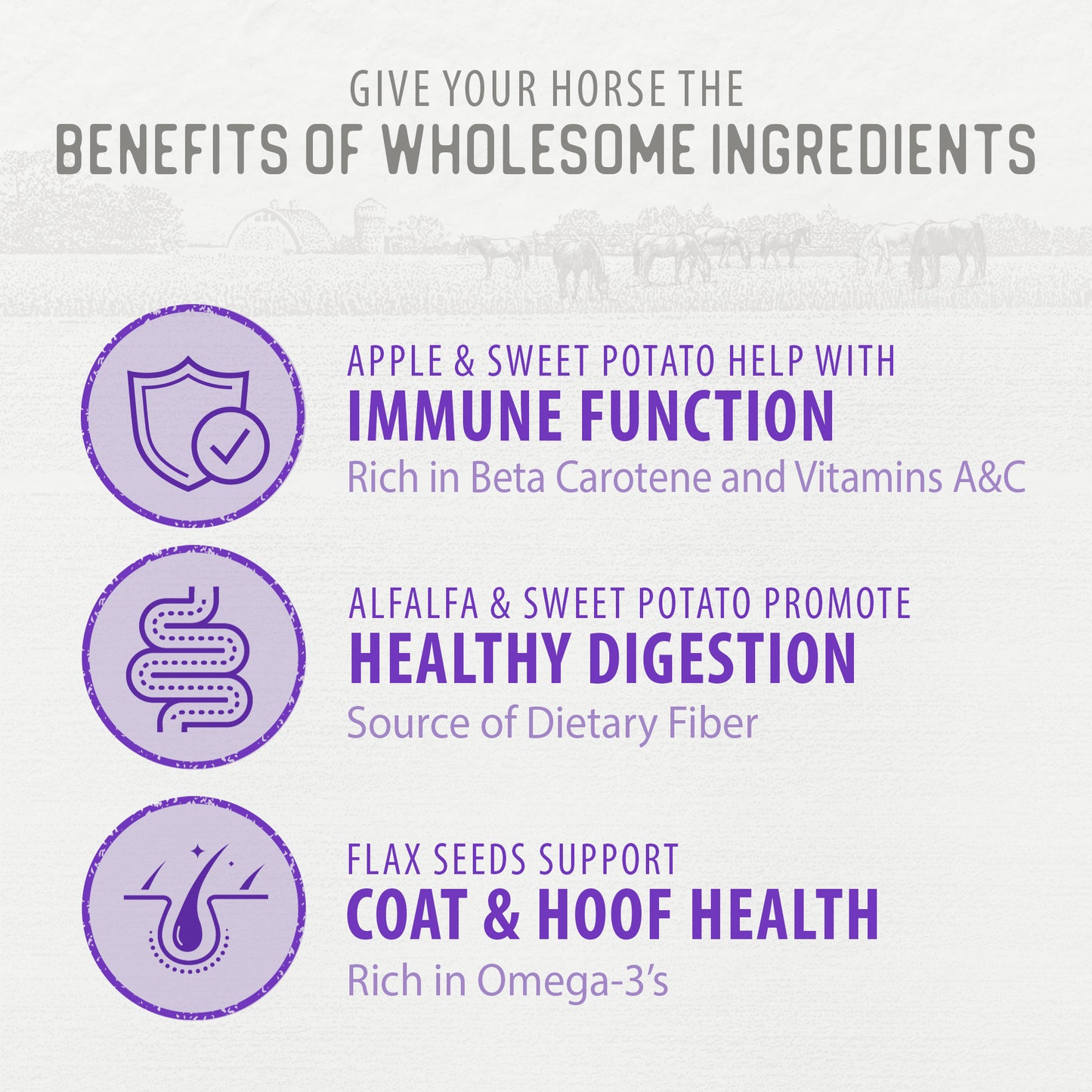 
                        
                          Harvest Biscuits - Apple & Alfalfa Recipe Horse Treats
                        
                      