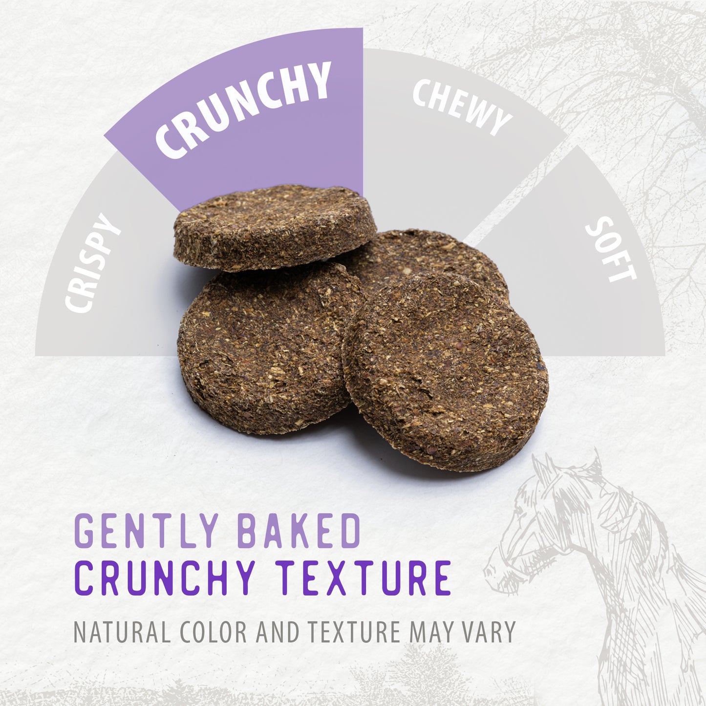 
                        
                          Harvest Biscuits - Apple & Alfalfa Recipe Horse Treats
                        
                      