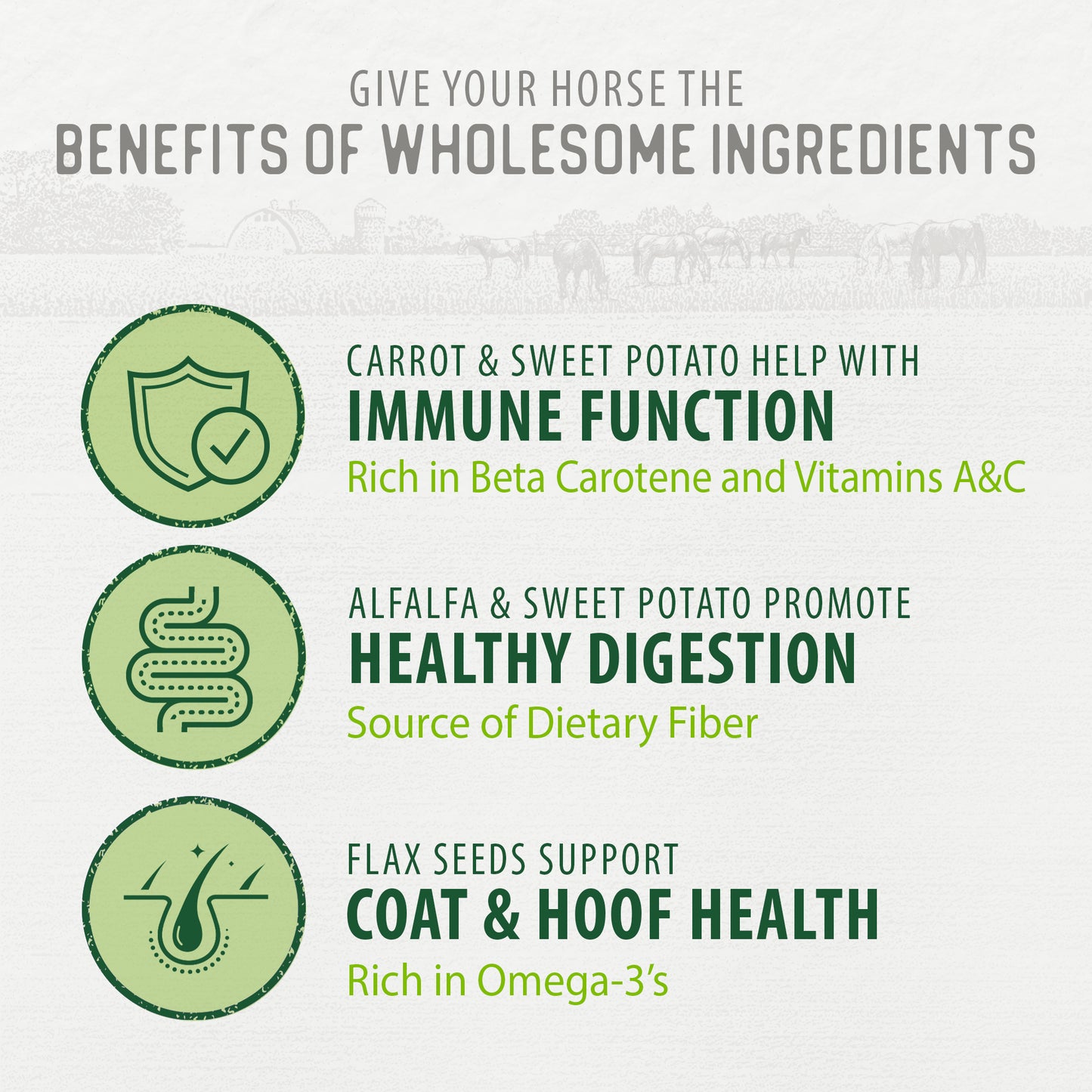 
                        
                          Harvest Biscuits - Carrot & Alfalfa Recipe Horse Treats
                        
                      