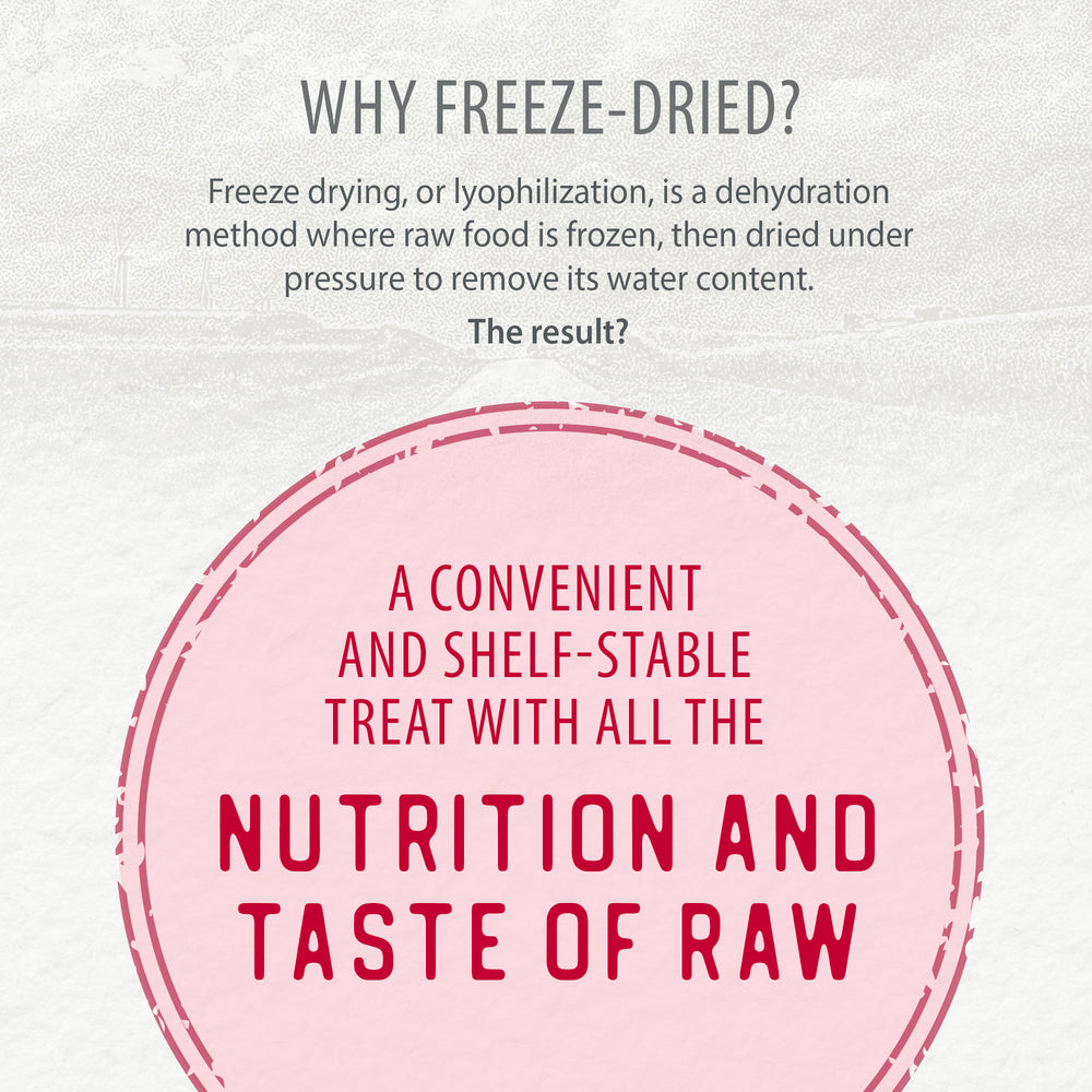 
                        
                          Freeze Dried Lamb Bites
                        
                      
