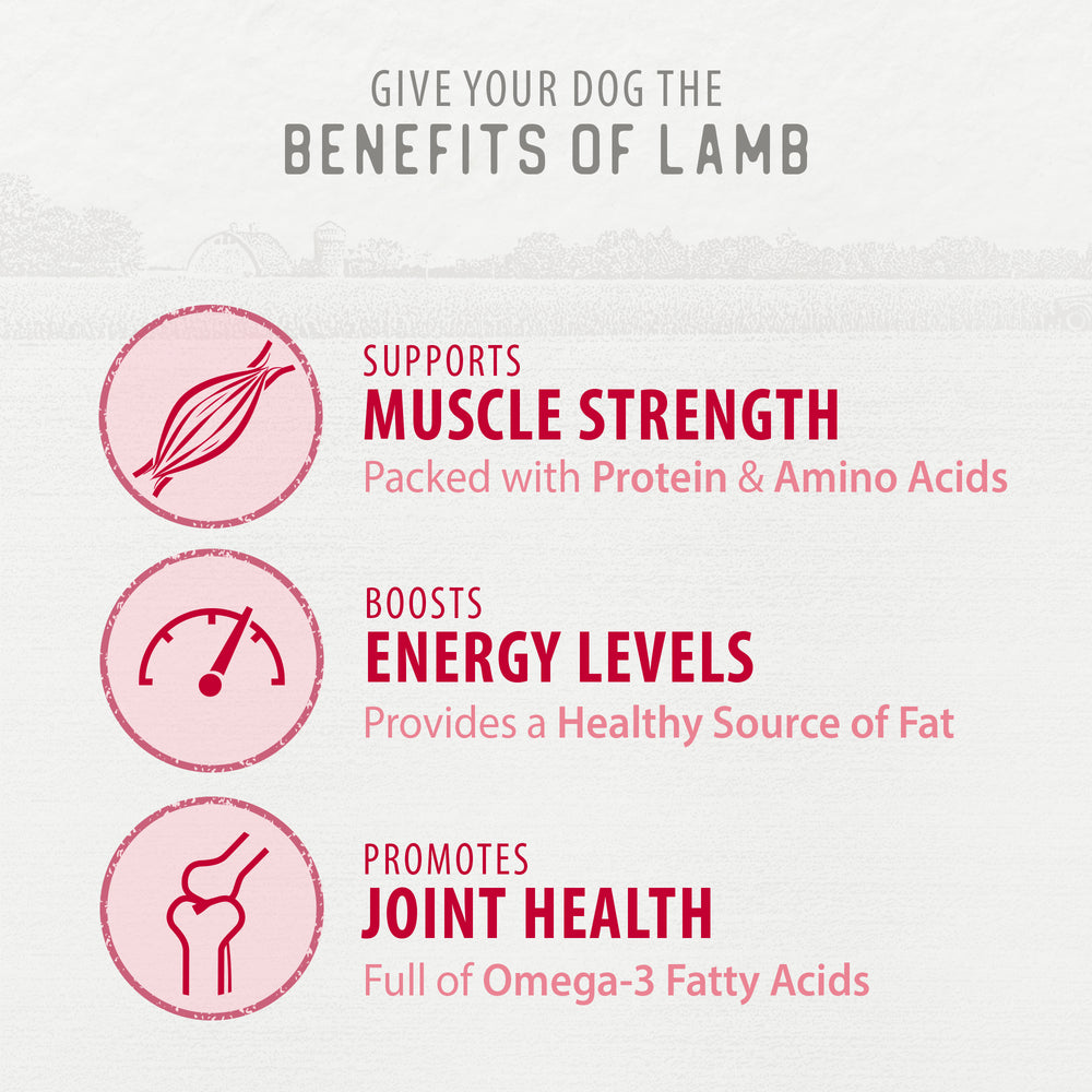 
                        
                          Freeze Dried Lamb Bites
                        
                      
