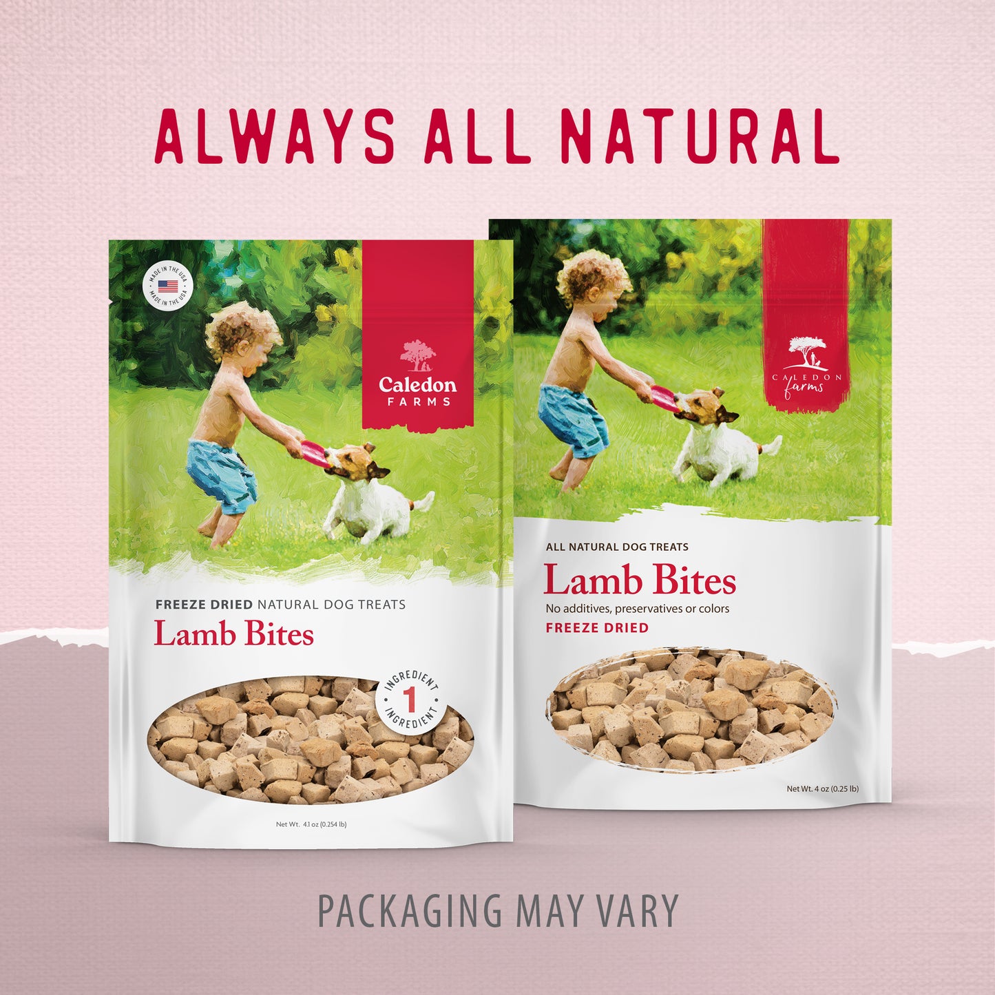 
                        
                          Freeze Dried Lamb Bites
                        
                      