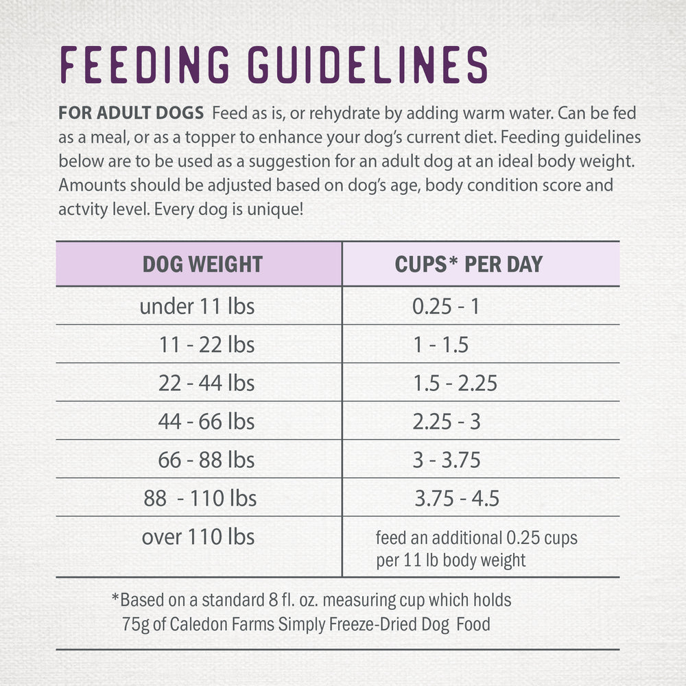 
                        
                          Simply Freeze-Dried Beef Recipe
                        
                      