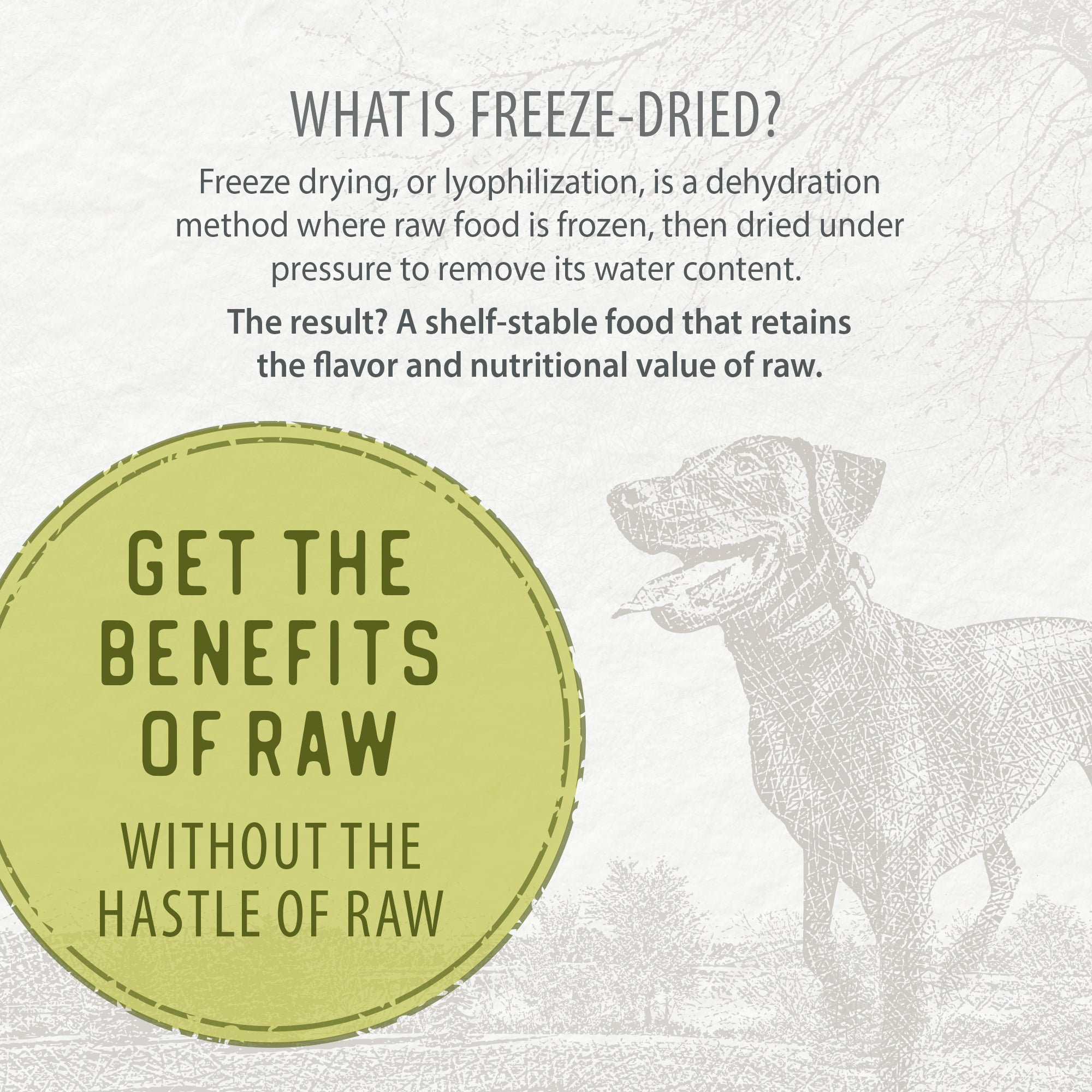 benefits of freeze-dried food for dogs Caledon Farms Simply Freeze-Dried Chicken Recipe Dog Food, 9.88-oz bag