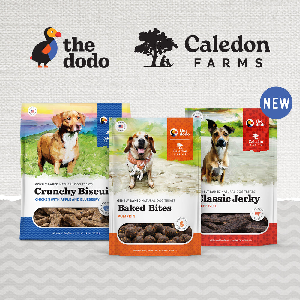Caledon Farms