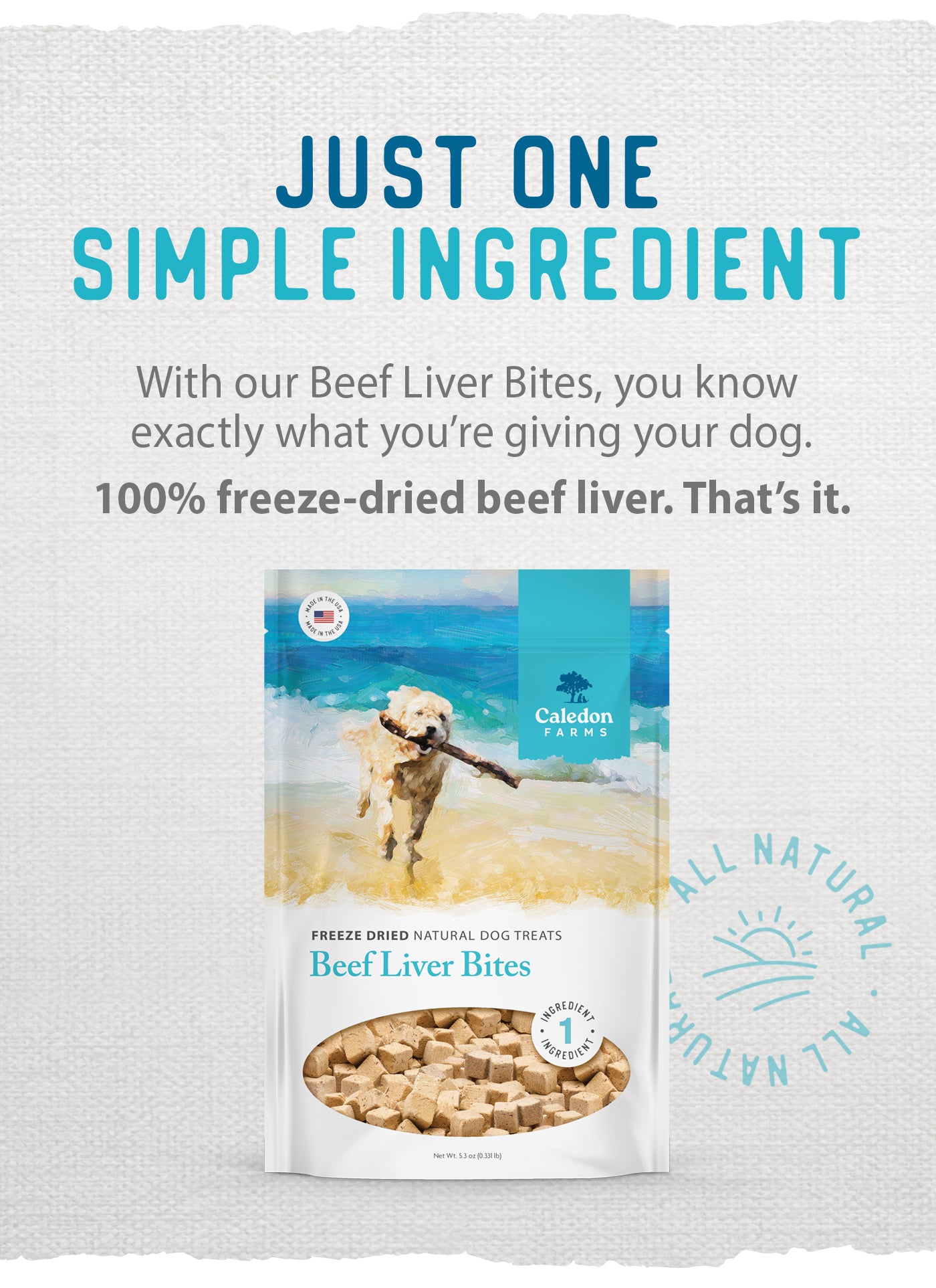 Freeze Dried Beef Liver Bites