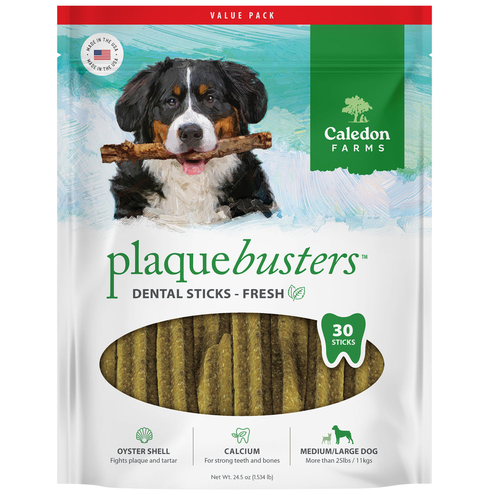Plaque Busters Fresh Dental Sticks Value Pack