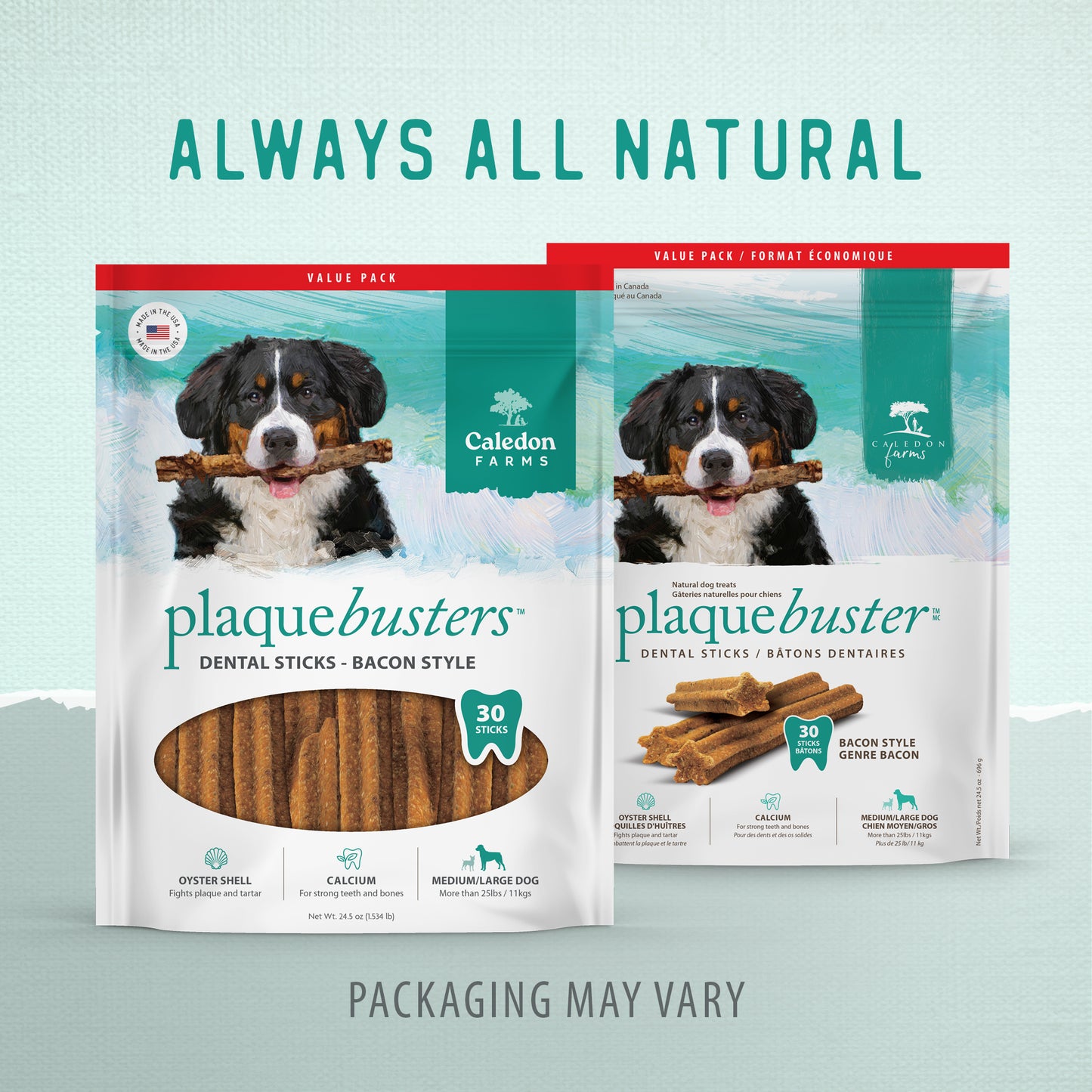 
                        
                          Plaque Busters Bacon Dental Sticks Value Pack
                        
                      