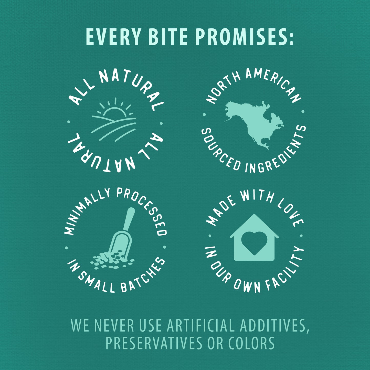 
                        
                          Plaque Busters Bacon Dental Sticks Value Pack
                        
                      