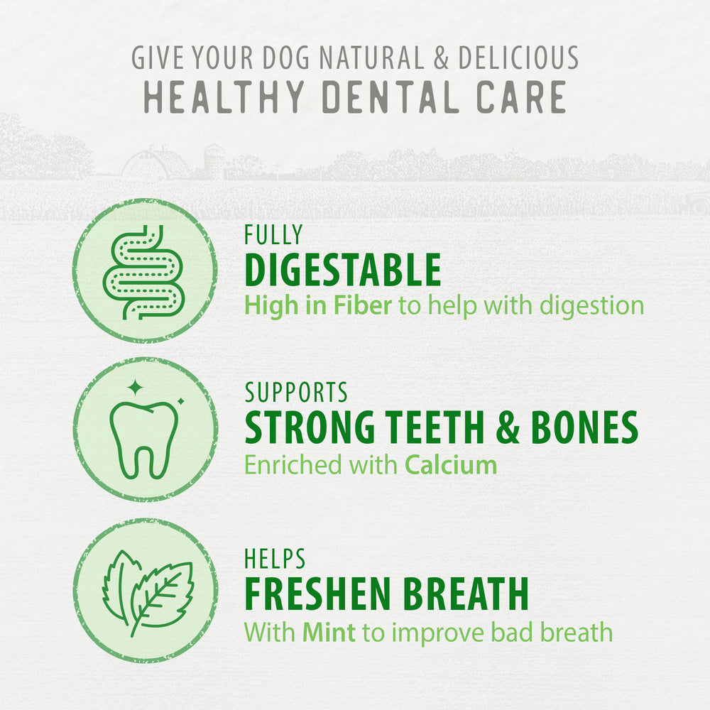 
                        
                          Plaque Busters Fresh Dental Sticks
                        
                      
