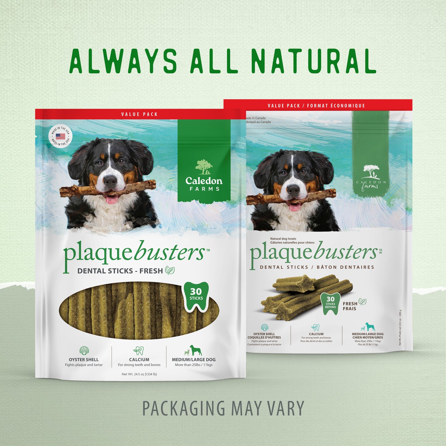 
                        
                          Plaque Busters Fresh Dental Sticks Value Pack
                        
                      