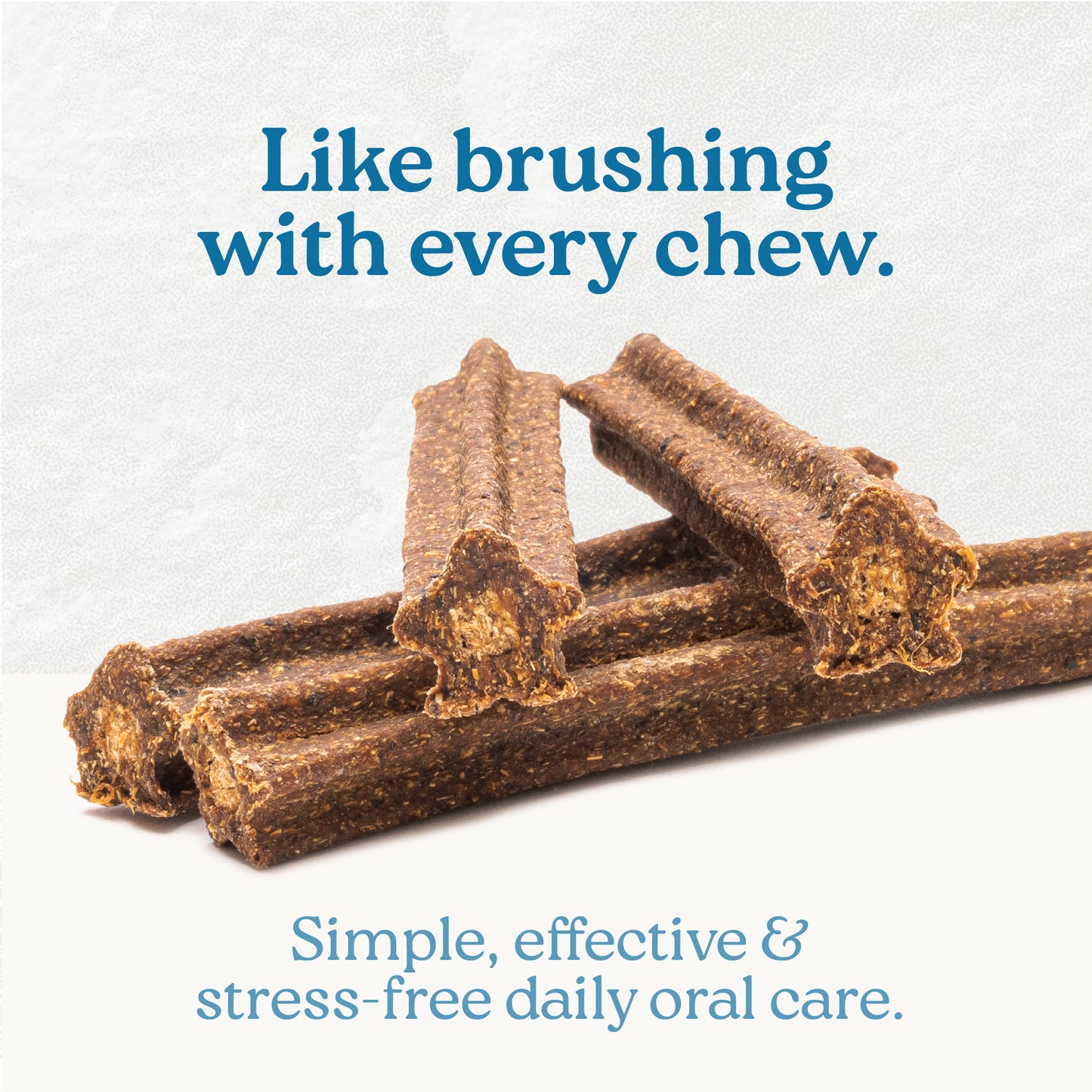 
                        
                          Plaque Busters Dental Sticks Triple Action Beef Recipe 7.8oz
                        
                      
