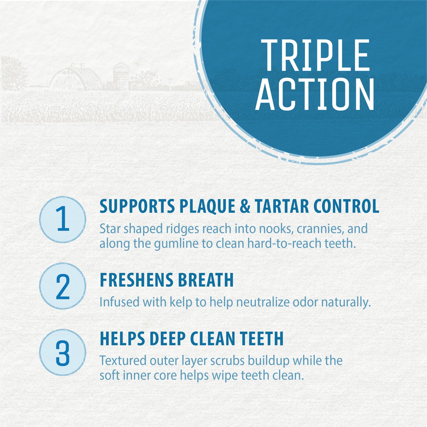
                        
                          Plaque Busters Dental Sticks Triple Action Beef Recipe 21.1oz
                        
                      
