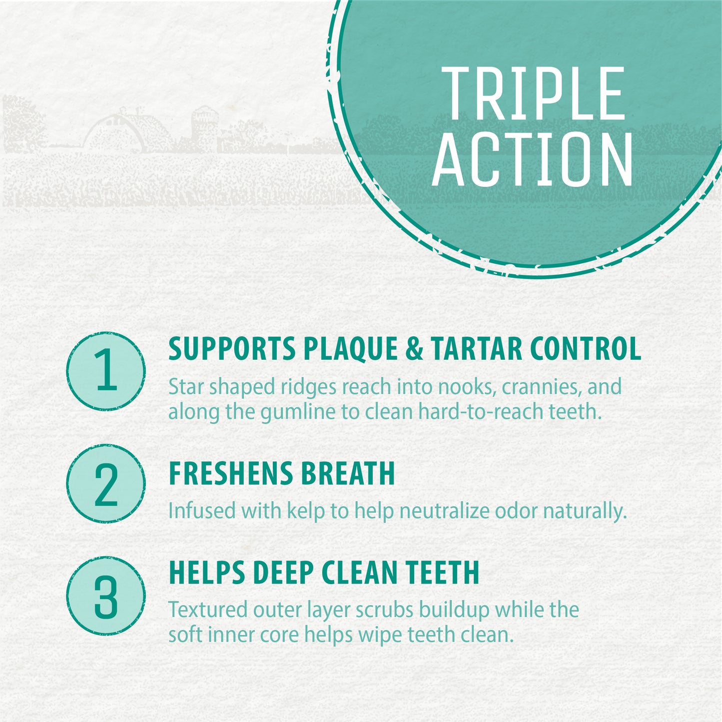 
                        
                          Plaque Busters Dental Sticks Triple Action Chicken and Bacon Flavour 8.2oz
                        
                      