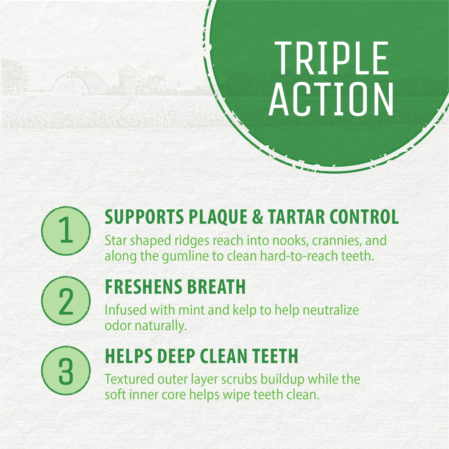 
                        
                          Plaque Busters Dental Sticks Triple Action Natural Mint Flavour 8.3oz
                        
                      