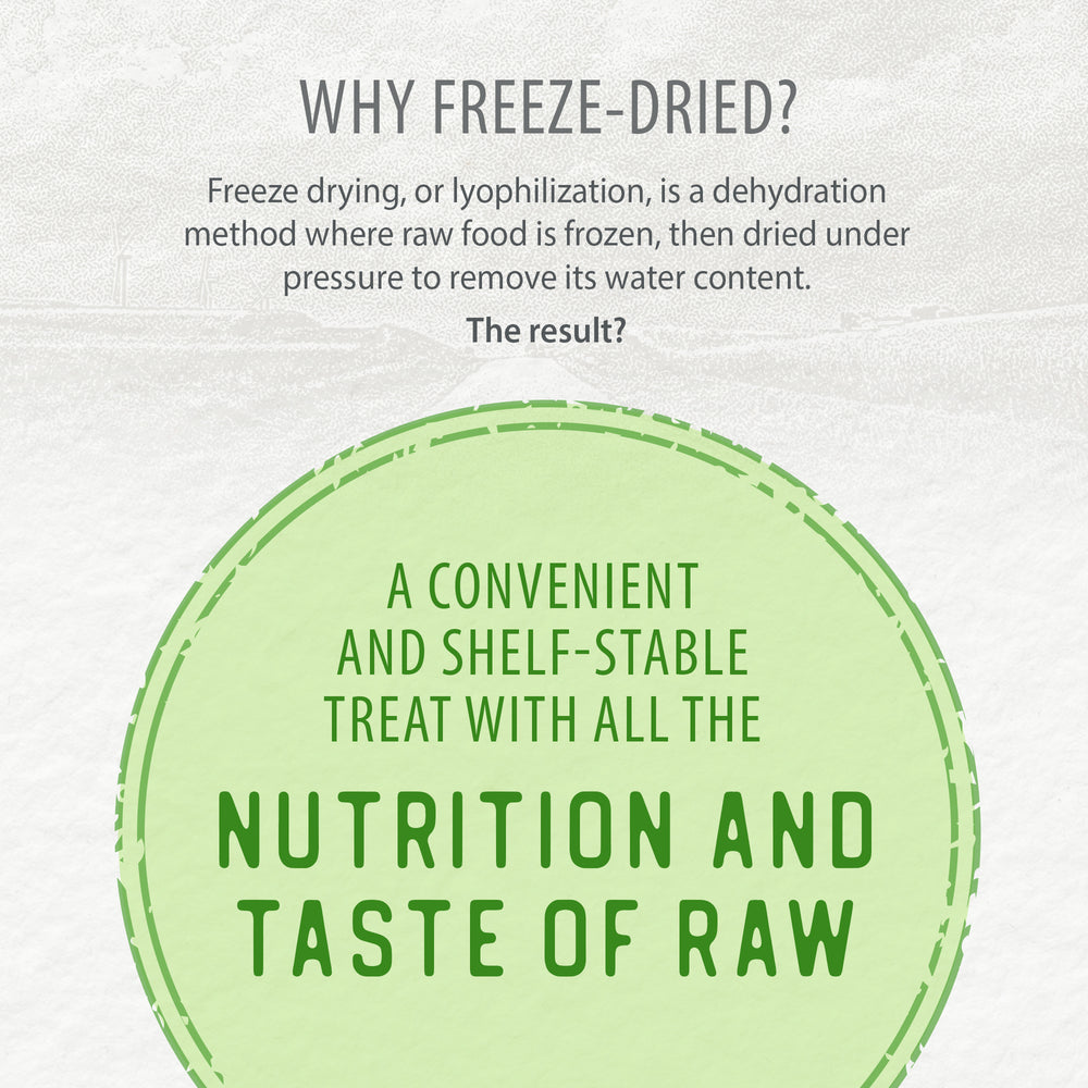 
                        
                          Freeze Dried Salmon Bites
                        
                      