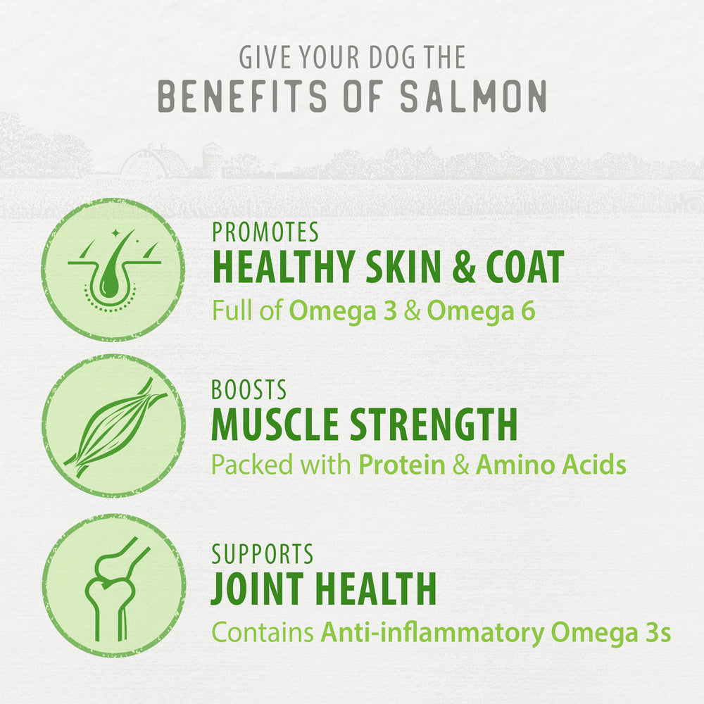 
                        
                          Freeze Dried Salmon Bites
                        
                      