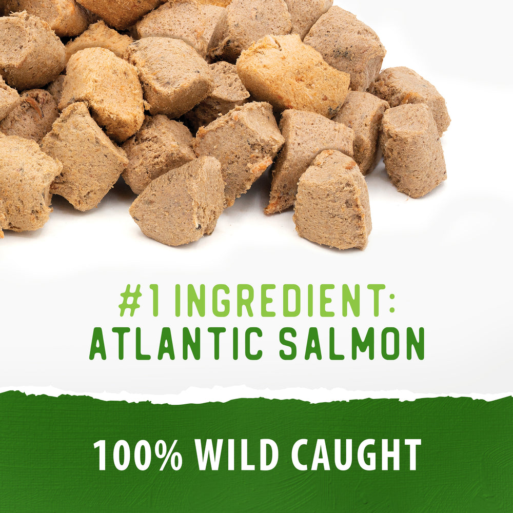 
                        
                          Freeze Dried Salmon Bites
                        
                      