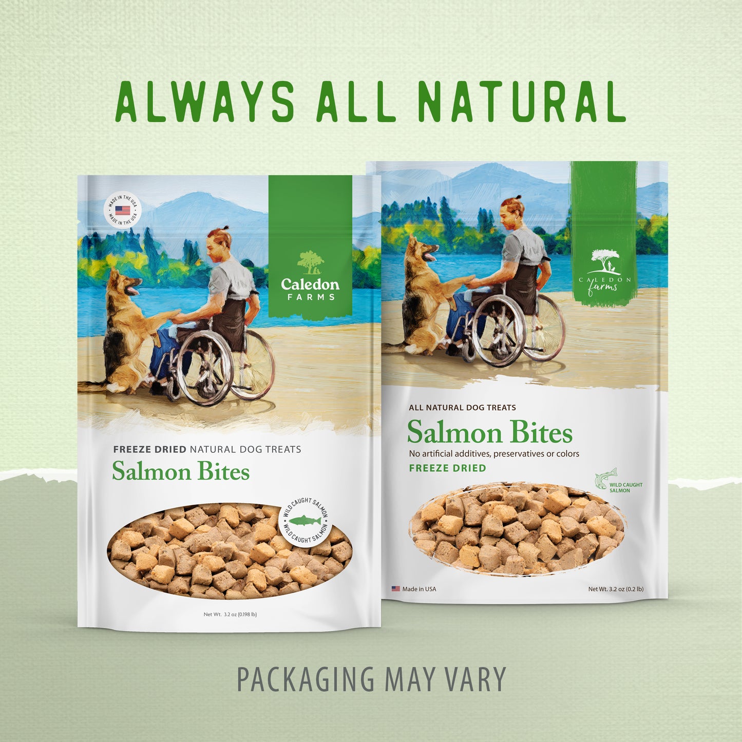 
                        
                          Freeze Dried Salmon Bites
                        
                      